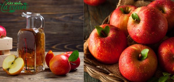Giấm táo dùng trong các món ăn hay thức uống không chỉ tăng độ ngon mà còn tốt cho sức khoẻ