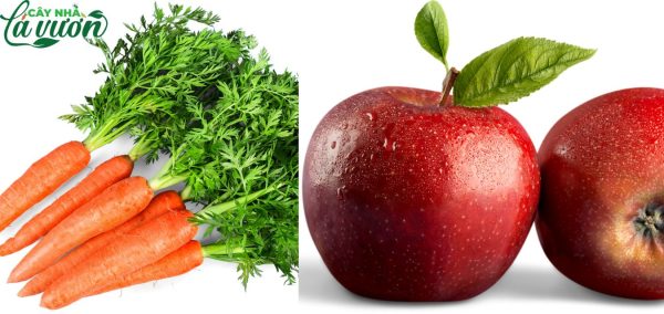 Nước ép táo cà rốt chứa nhiều vitamin A, C, K tốt cho sức khoẻ cơ thể