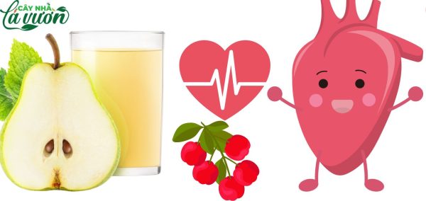 Uống nước ép sơ ri lê giúp bảo vệ sức khoẻ tim mạch, tăng cường lưu thông máu và giam tình trạng hình thành các cục máu đông hay tắc nghẽn mạch máu