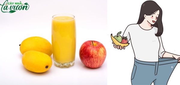 Nước ép táo xoài giàu chất xơ và ít calo nên phù hợp với thực đơn của người cần giảm cân