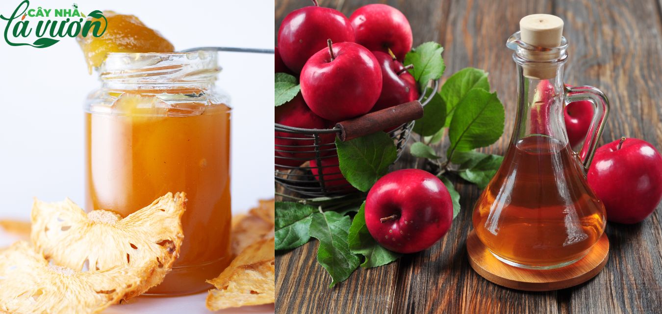 Trà dứa - Giấm táo có vị chua ngọt và hương thơm tự nhiên giúp tăng cường sức đề kháng và giải khát nhanh chóng